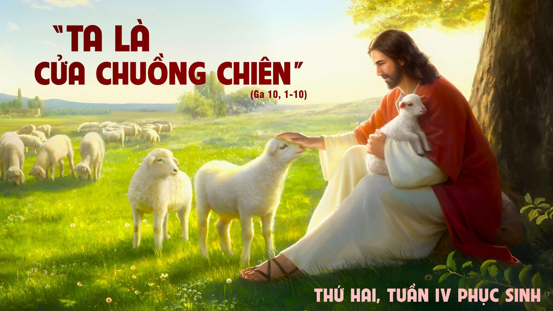 GIÁO PHẬN PHÚ CƯỜNG - Suy Niệm Lời Chúa | Thứ Hai Tuần IV Phục Sinh | Ga 10, 1-10 | Phút Cầu Nguyện