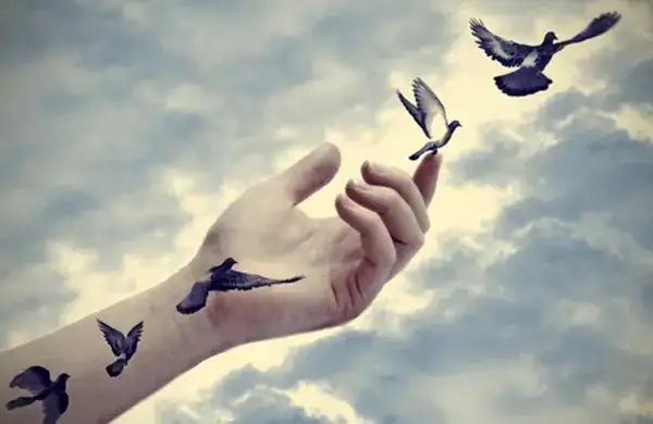 Header