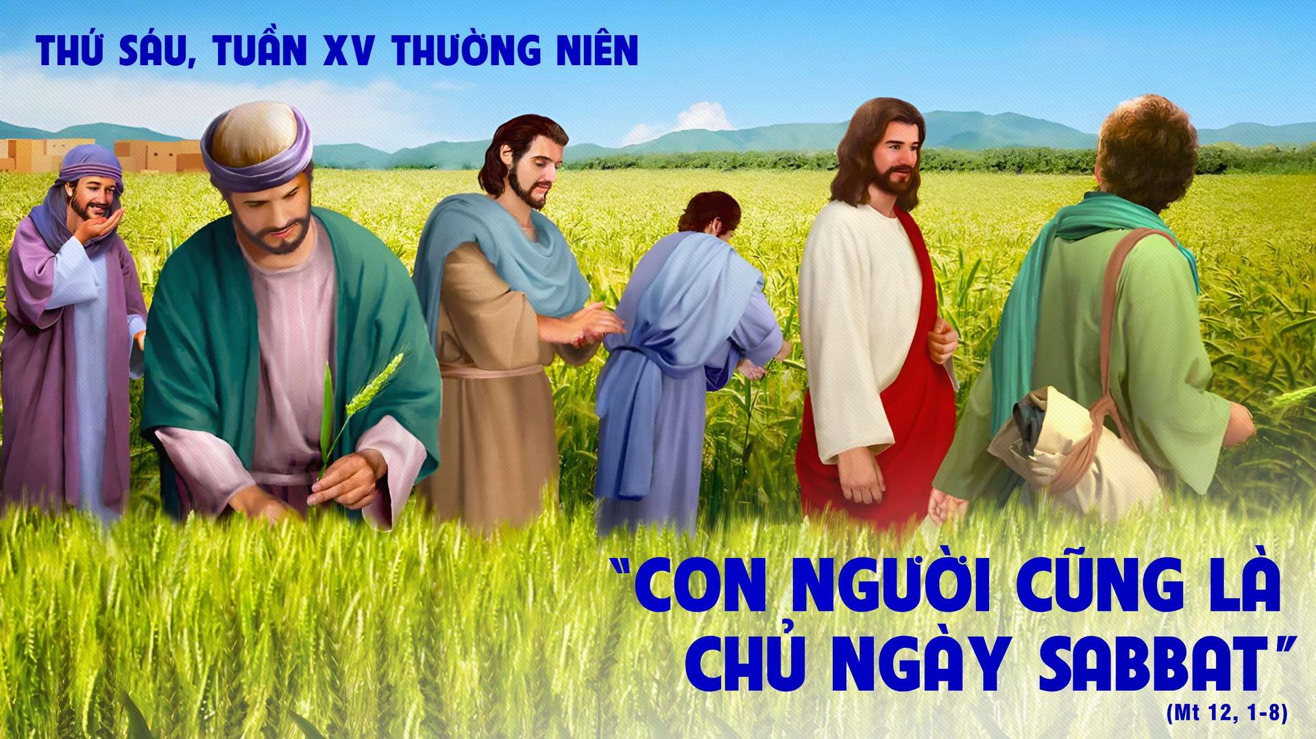 Image hình ảnh con người hình ảnh con người hình ảnh con người Bùi Đức Hinh - Suy Niệm Lời Chúa | Thứ Sáu Tuần XV Mùa Thường Niên | Mt 12:1-8 ...