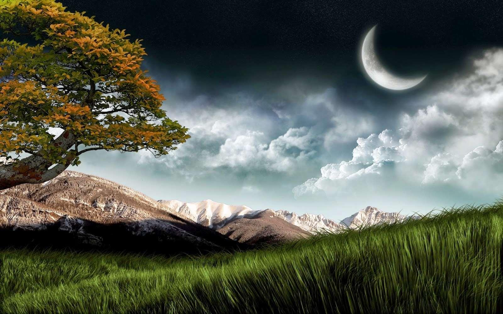 Header