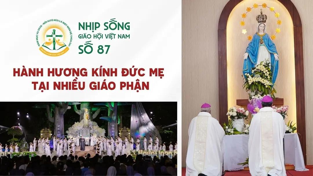 Hành hương kính Đức Mẹ tại nhiều Giáo phận - Nhịp sống Giáo hội Việt Nam số 87 (11/8/2026 - 17/8/2026)