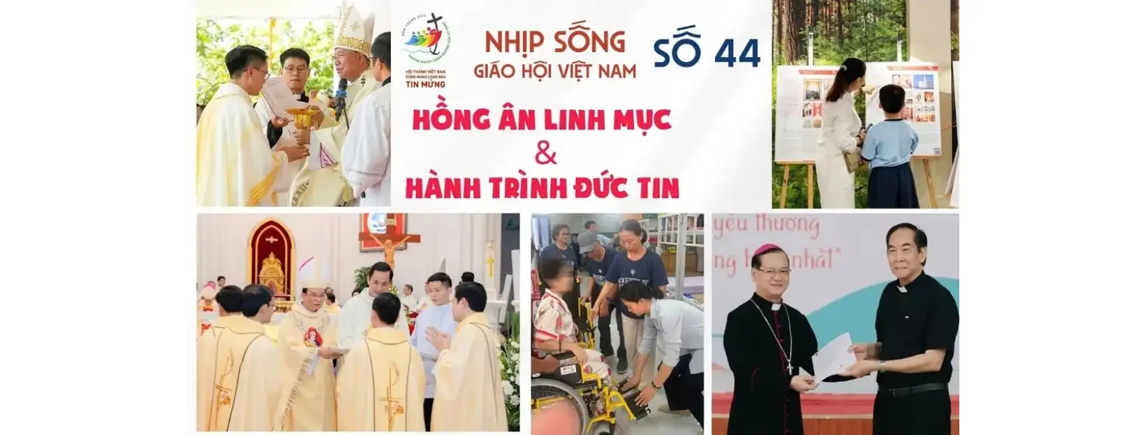 Hồng ân linh mục và hành trình đức tin: Nhịp sống Giáo hội Việt Nam số 44 (20/10 - 27/10/2025)