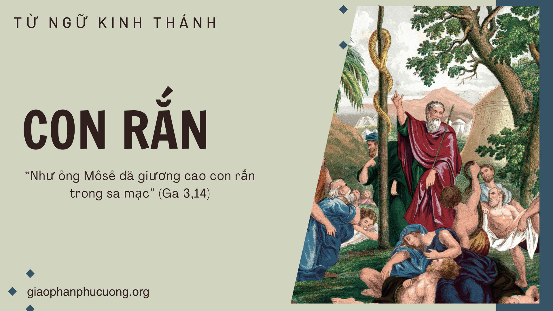 CON RẮN - Chúa Nhật IV Mùa Chay - Năm B (Ga 3,14-21) | Từ ngữ Kinh Thánh